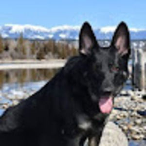 Meet your Posher, Janice